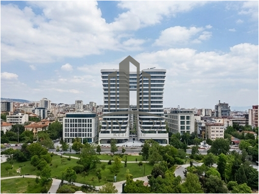 نارنجستان 6