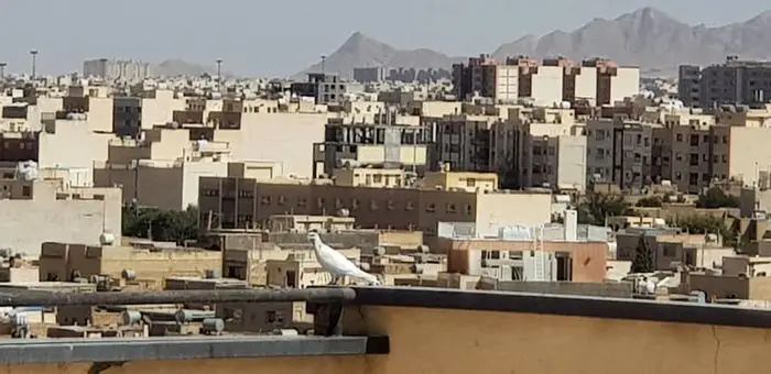 دو سناریو پیش روی بازار مسکن